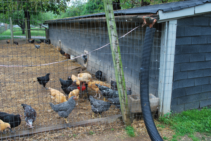 queens county farm museum