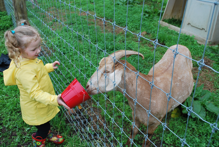 queens county farm museum