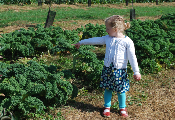 fishkill lady of the kale