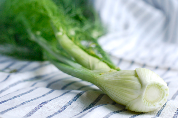 now in season: fennel, via brooklynsupper.net