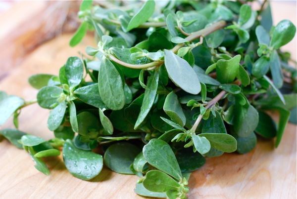 Purslane via brooklynsupper.net Purslane via brooklynsupper.net
