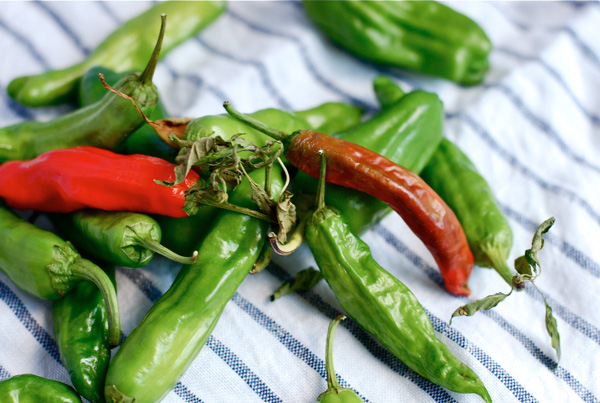 Shishito peppers, via brooklynsupper.net; © Brooklyn Supper, all rights reserved Shishito peppers, via brooklynsupper.net; © Brooklyn Supper, all rights reserved