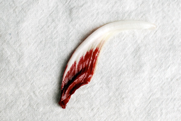 Now in season: radicchio, via brroklynsupper.net; © Brooklyn Supper, all rights reserved Now in season: radicchio, via brroklynsupper.net; © Brooklyn Supper, all rights reserved