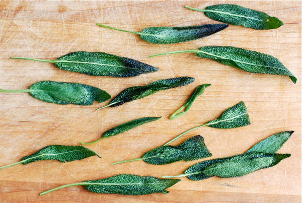 Fried sage leaves, via brooklynsupper.net; © Brooklyn Supper 2012, all rights reserved Fried sage leaves, via brooklynsupper.net; © Brooklyn Supper 2012, all rights reserved