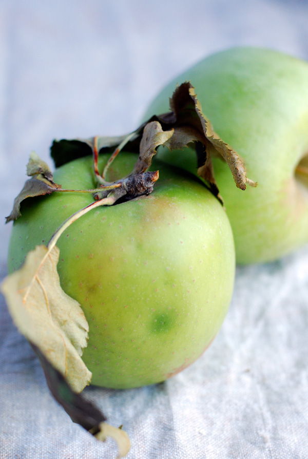 Mutsu apples, via brooklynsupper.net; © Brooklyn Supper 2012, all rights reserved