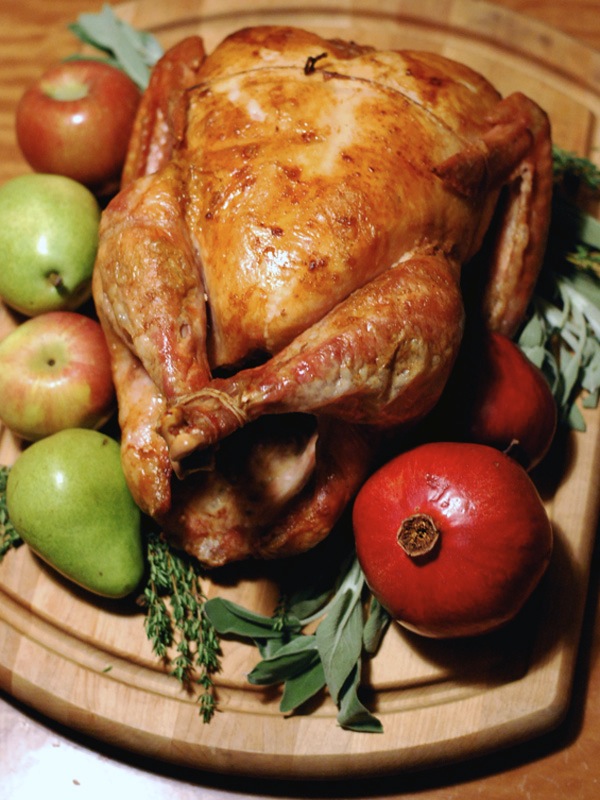 roast turkey // brooklyn supper