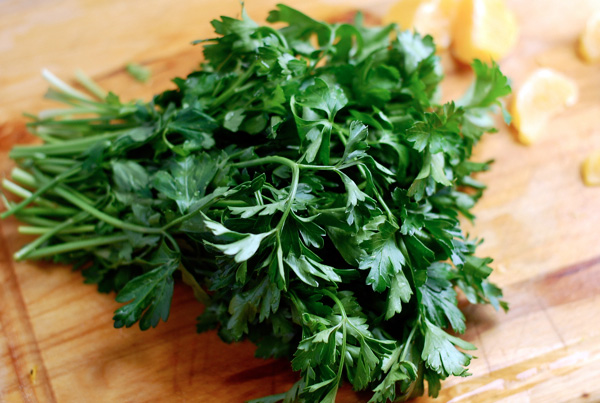 parsley and orange segments // brooklyn supper