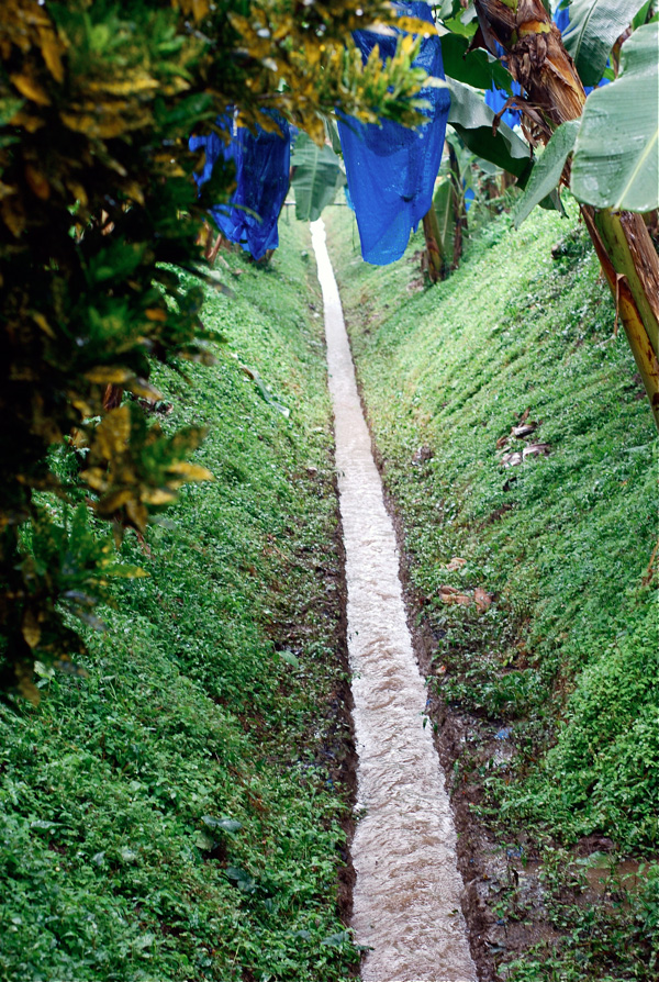 canal, costa rica // brooklyn supper