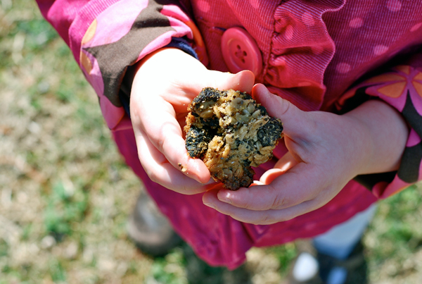 chewy black mission fig granola bars + healthier kids // brooklyn supper