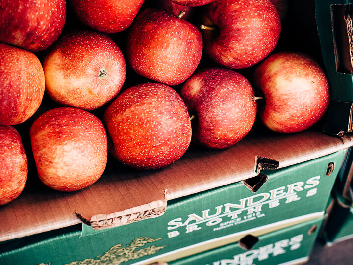 visiting the saunders brothers' orchard // brooklyn supper
