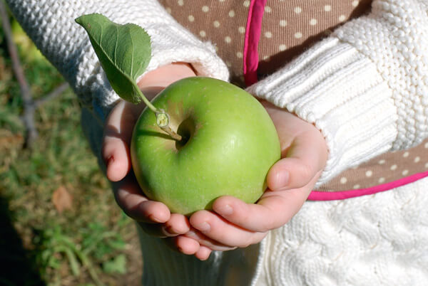 Hands holding an apple.