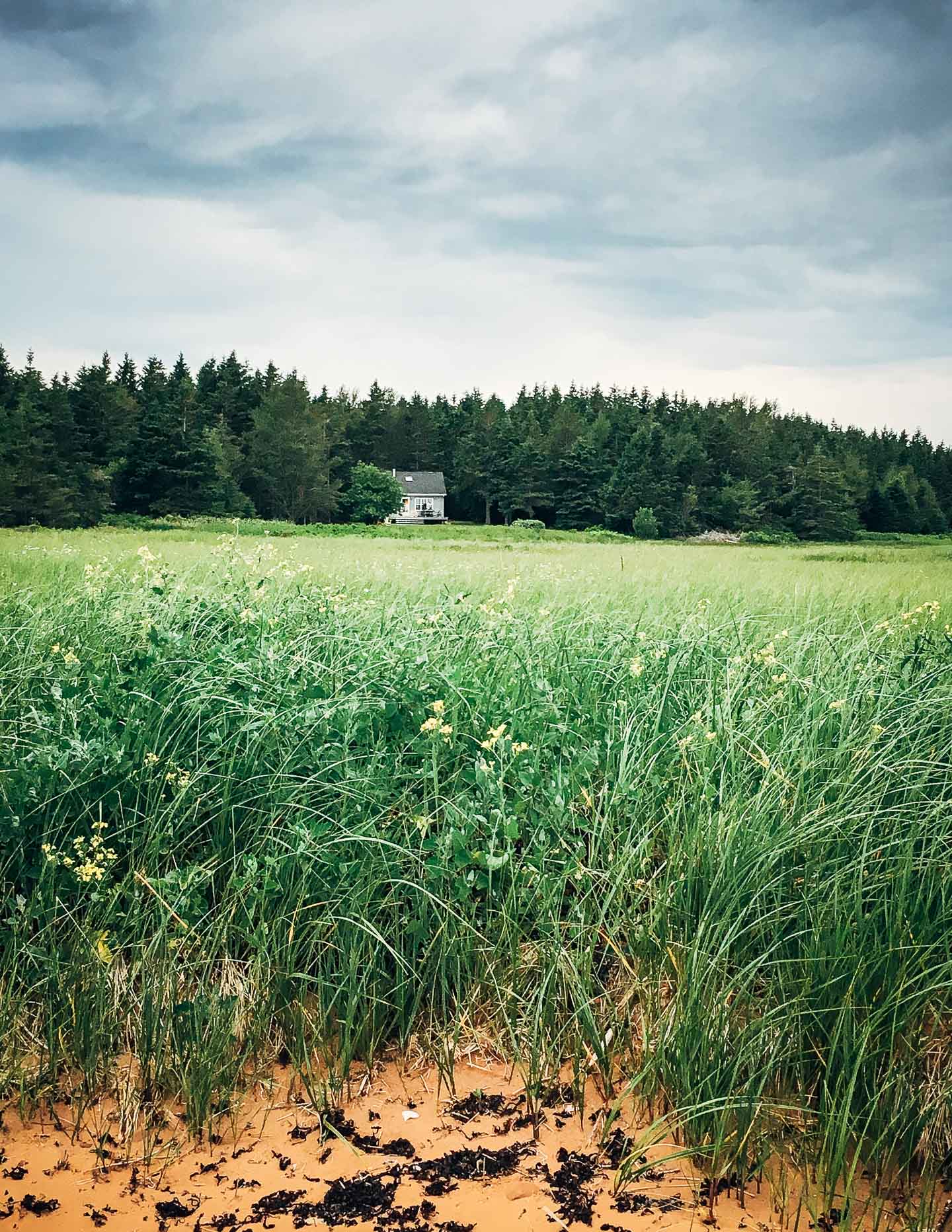 Our cabin near Little Pond, PEI