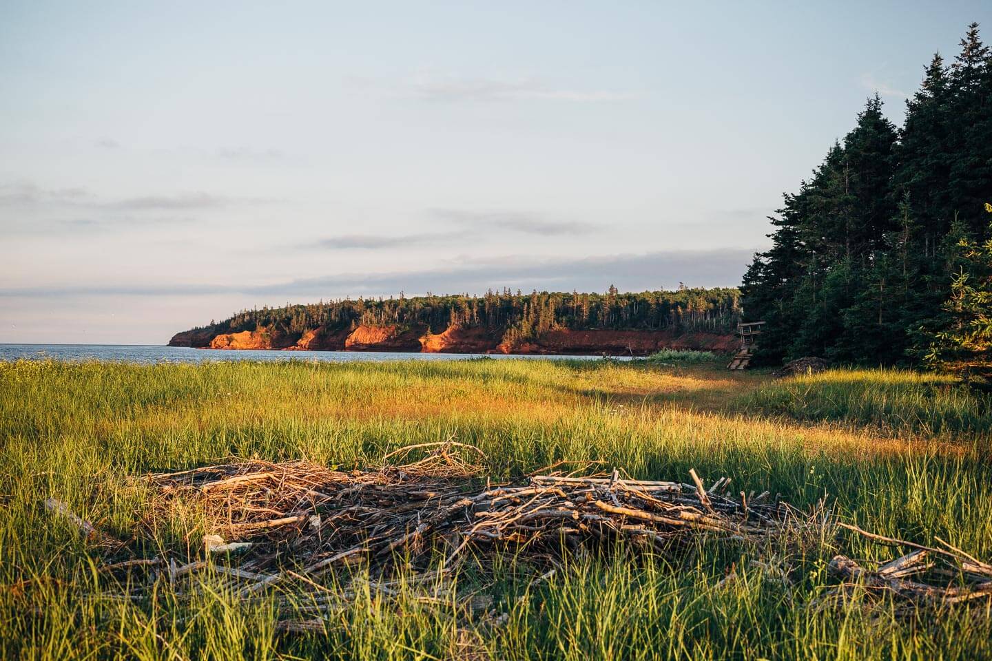 Shoreline views, Little Pond, PEI