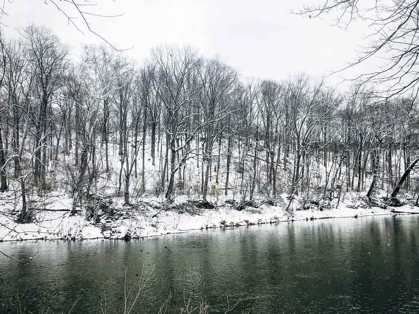 A snow day walk.