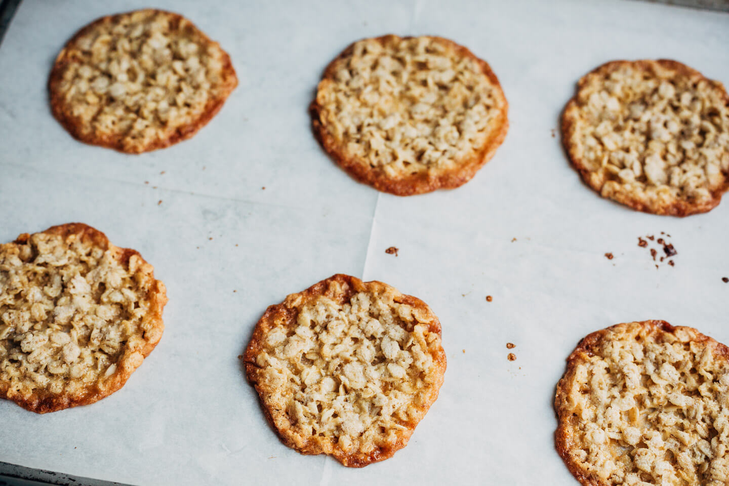 A baking sheet with oatmeal cookies, just out of the oven. 